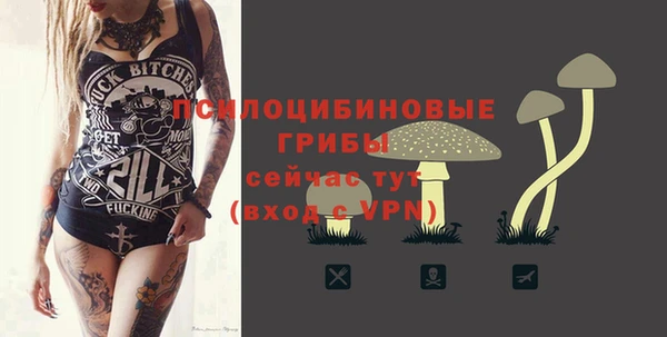 мдма Козельск