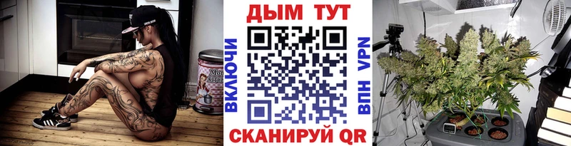 МАРИХУАНА план  Купить закладки  Унеча 